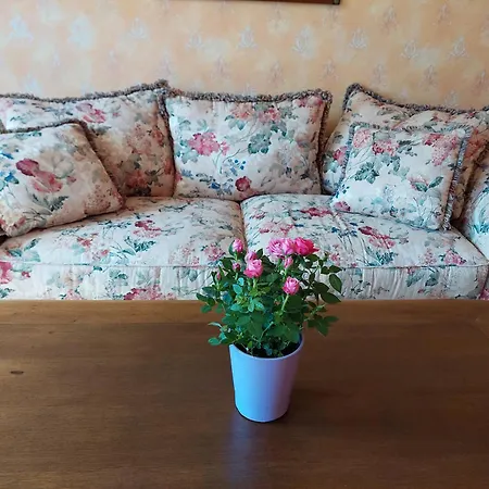 Lindenhof Апартаменты Бад-Эльстер